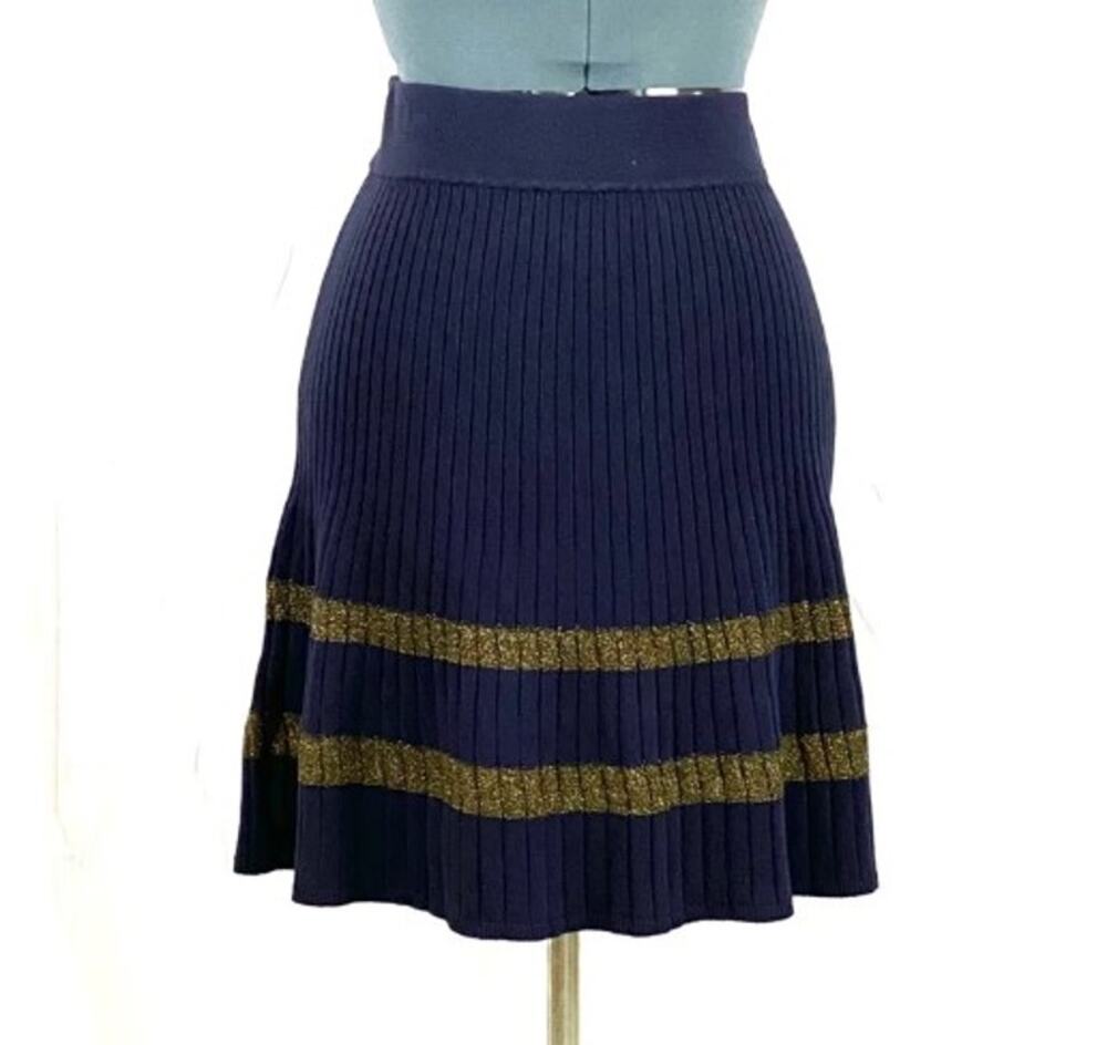 Ann Taylor Blue Knit Pleated Gold Stripe Border A-Line Skirt Size S Petite